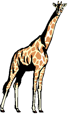 animals_giraffe.gif